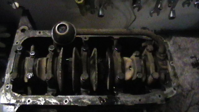 S1030009.JPG