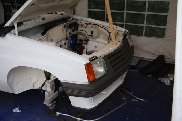 cors397.JPG (349.04 KiB) 47641 mal betrachtet Das Gesicht nimmt langsam Form an